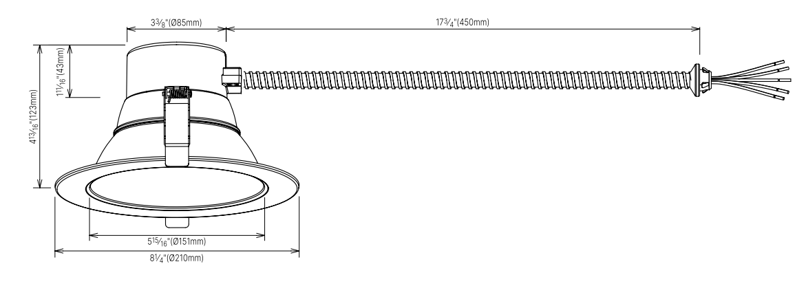 DL254 downlight 6 inch size